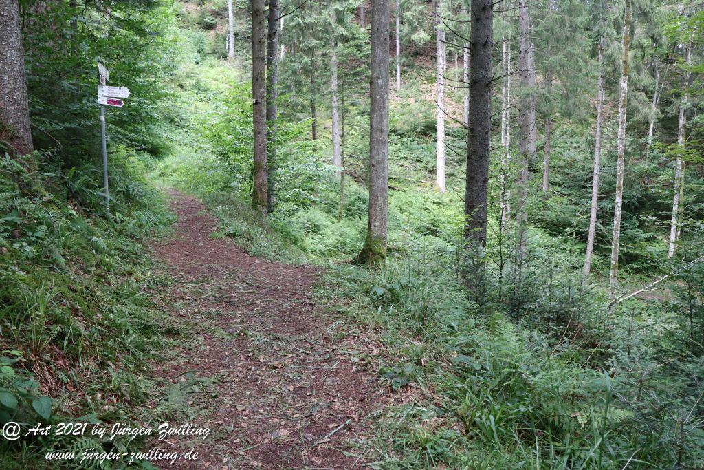 Philosophische Bildwanderung Klösterle Schleife - Burgbach Wasserfall - Bad Rippoldsau - Schwarzwald