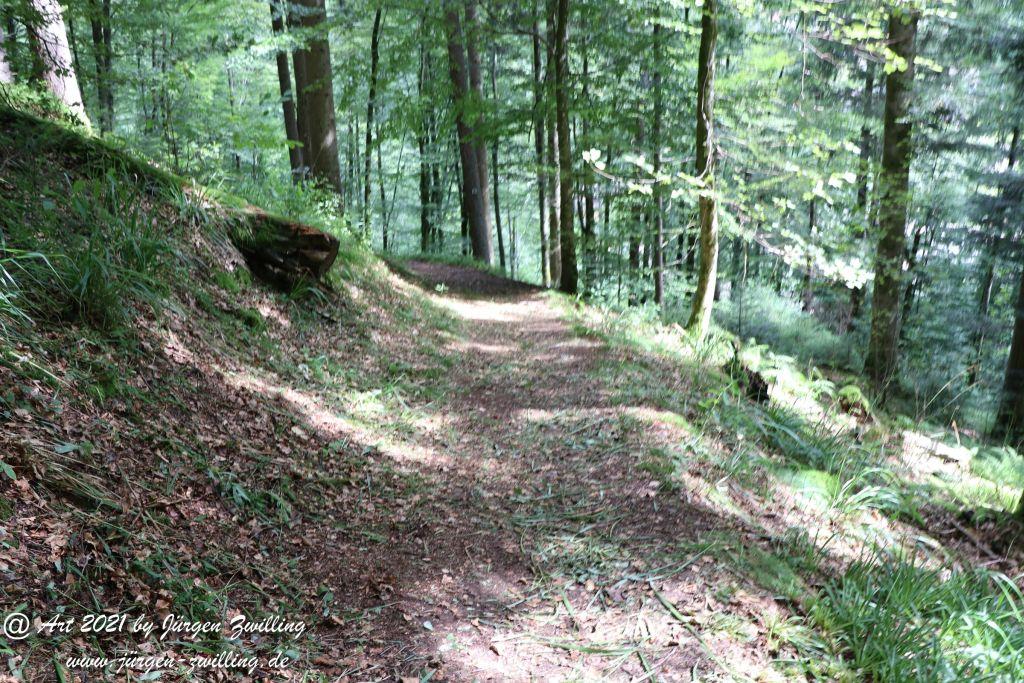 Philosophische Bildwanderung Klösterle Schleife - Burgbach Wasserfall - Bad Rippoldsau - Schwarzwald