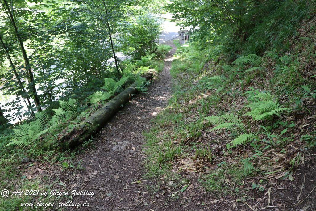 Philosophische Bildwanderung Klösterle Schleife - Burgbach Wasserfall - Bad Rippoldsau - Schwarzwald
