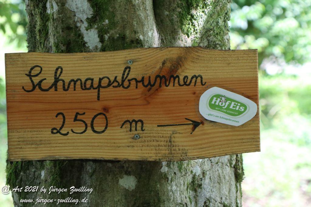 Philosophische Bildwanderung  Klösterle Schleife - Burgbach Wasserfall - Bad Rippoldsau - Schwarzwald