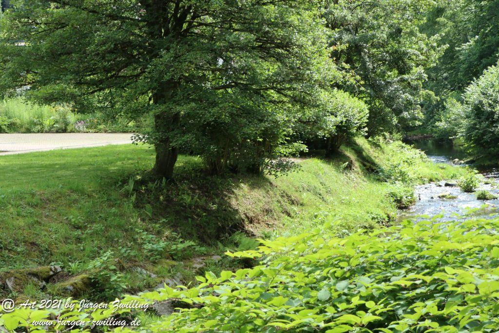 Philosophische Bildwanderung Klösterle Schleife - Burgbach Wasserfall - Bad Rippoldsau - Schwarzwald