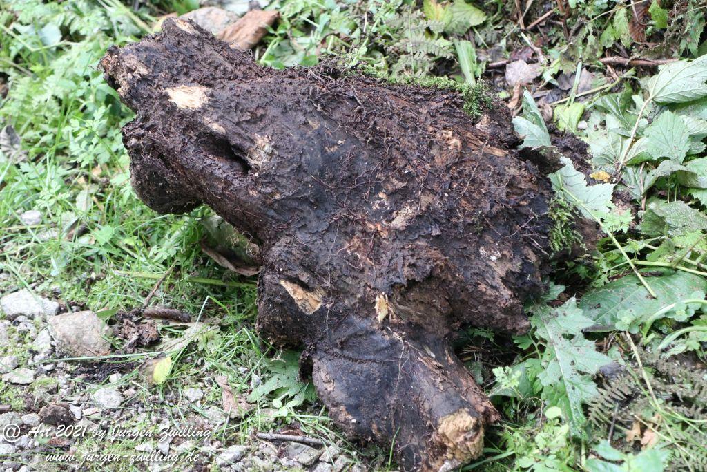 Philosophische Bildwanderung  Klösterle Schleife - Burgbach Wasserfall - Bad Rippoldsau - Schwarzwald