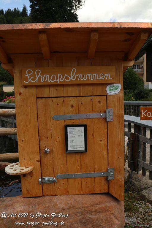 Philosophische Bildwanderung  Klösterle Schleife - Burgbach Wasserfall - Bad Rippoldsau - Schwarzwald