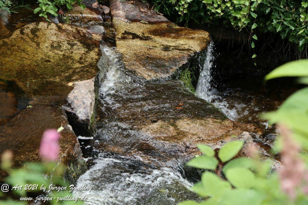 Philosophische Bildwanderung Klösterle Schleife - Burgbach Wasserfall - Bad Rippoldsau - Schwarzwald