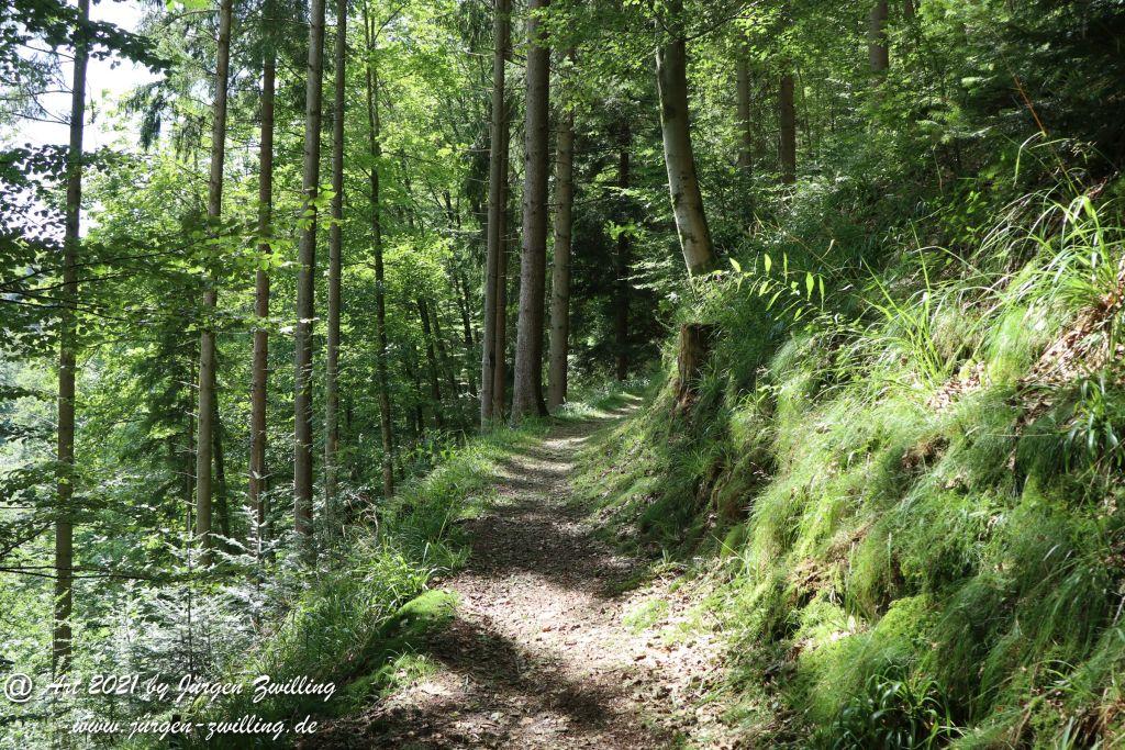 Philosophische Bildwanderung Klösterle Schleife - Burgbach Wasserfall - Bad Rippoldsau - Schwarzwald