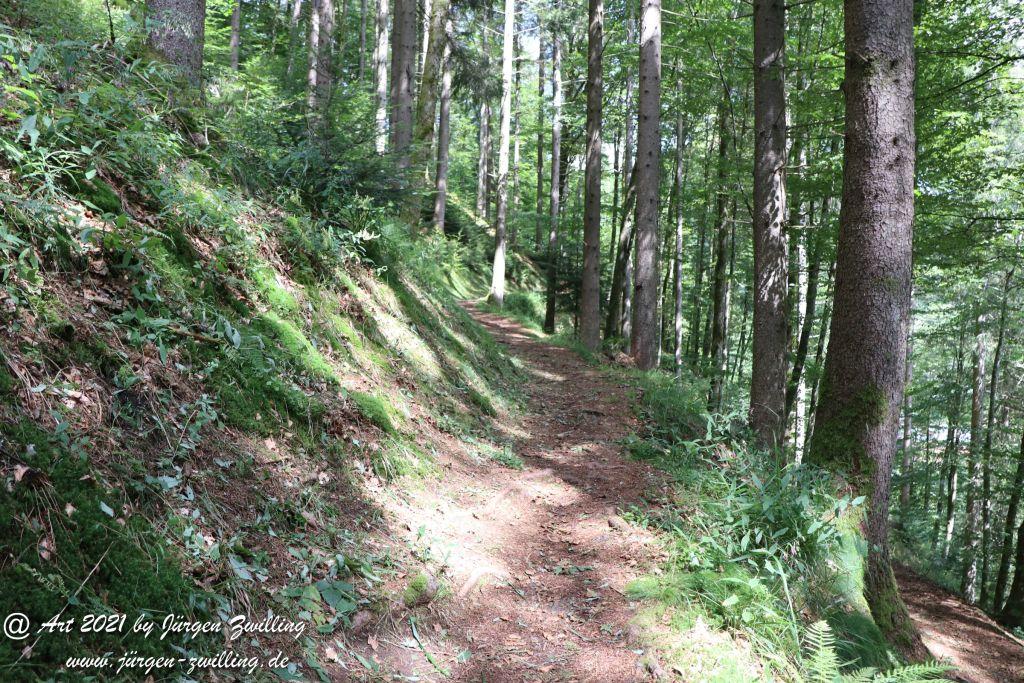 Philosophische Bildwanderung Klösterle Schleife - Burgbach Wasserfall - Bad Rippoldsau - Schwarzwald