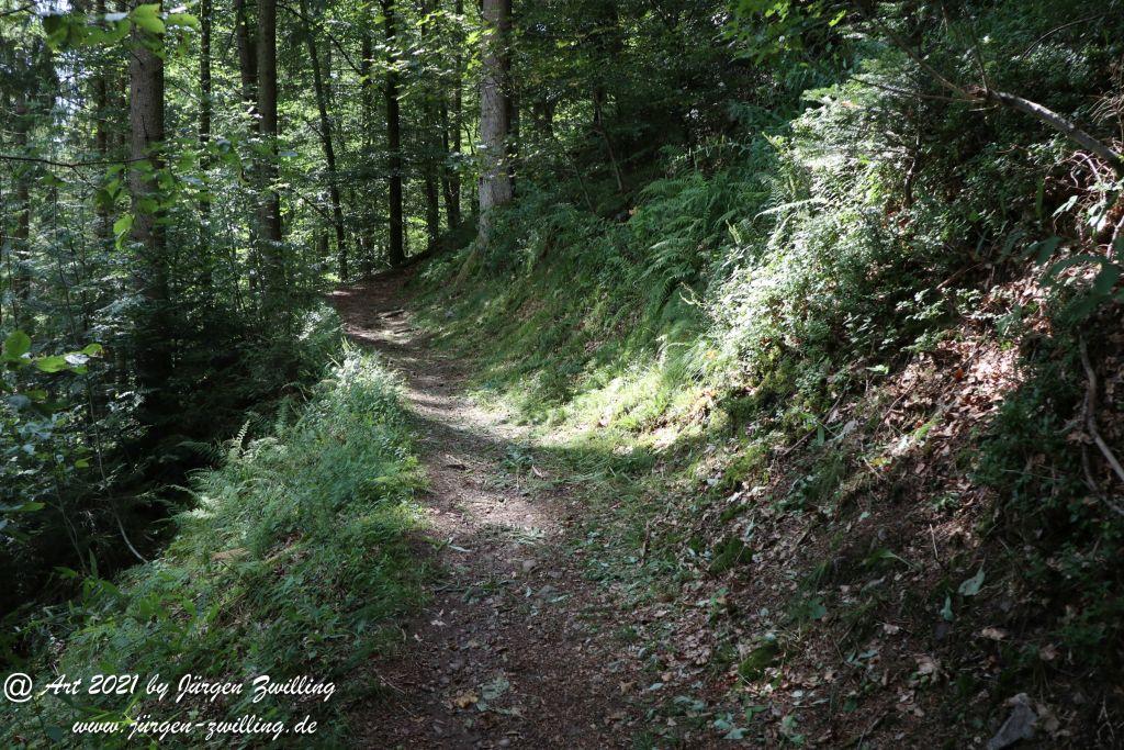 Philosophische Bildwanderung Klösterle Schleife - Burgbach Wasserfall - Bad Rippoldsau - Schwarzwald