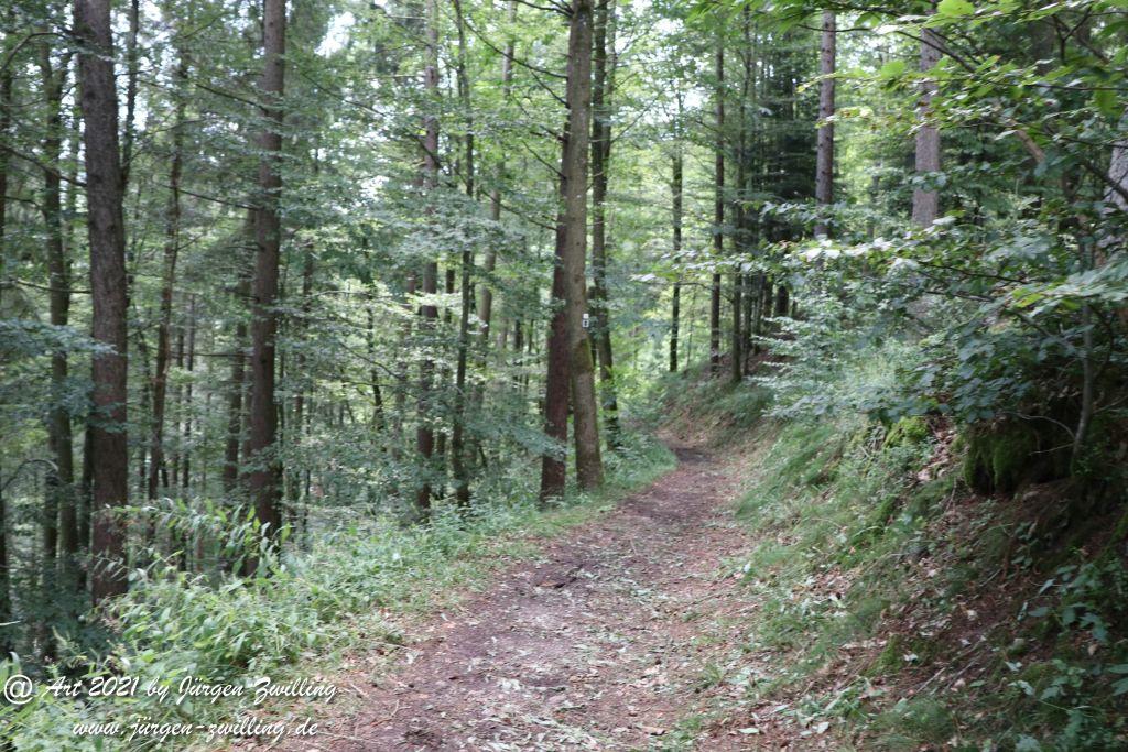Philosophische Bildwanderung Klösterle Schleife - Burgbach Wasserfall - Bad Rippoldsau - Schwarzwald