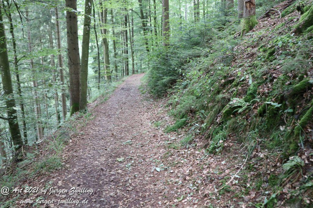 Philosophische Bildwanderung Klösterle Schleife - Burgbach Wasserfall - Bad Rippoldsau - Schwarzwald