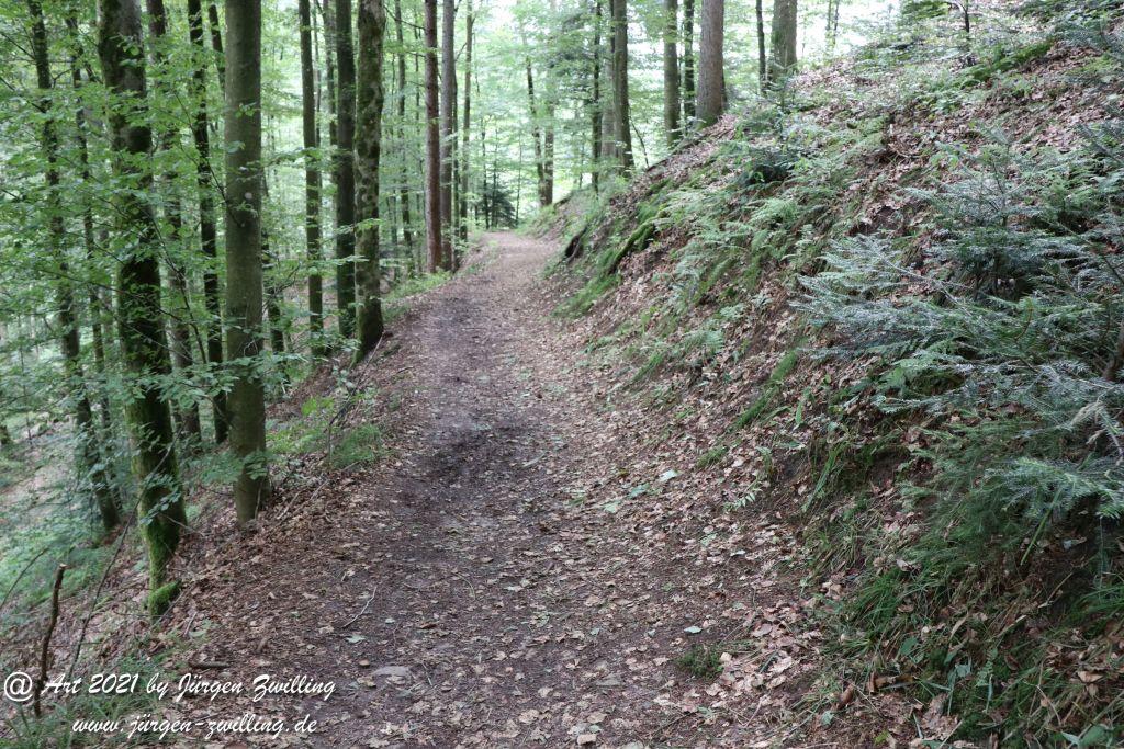 Philosophische Bildwanderung Klösterle Schleife - Burgbach Wasserfall - Bad Rippoldsau - Schwarzwald