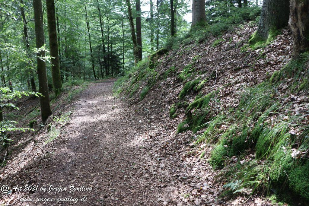 Philosophische Bildwanderung Klösterle Schleife - Burgbach Wasserfall - Bad Rippoldsau - Schwarzwald
