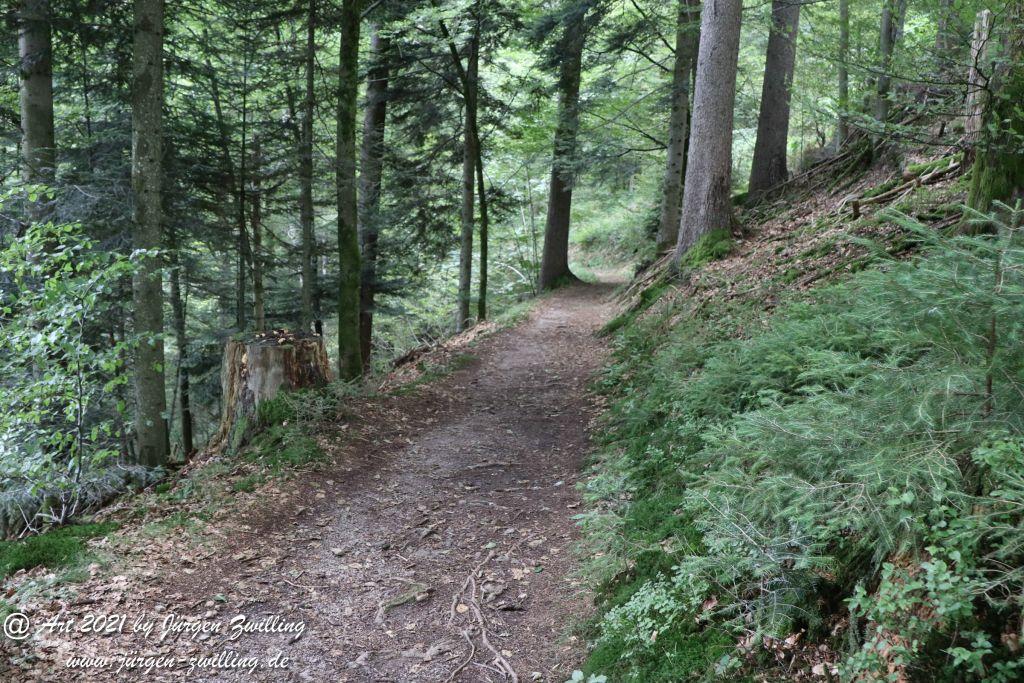Philosophische Bildwanderung Klösterle Schleife - Burgbach Wasserfall - Bad Rippoldsau - Schwarzwald