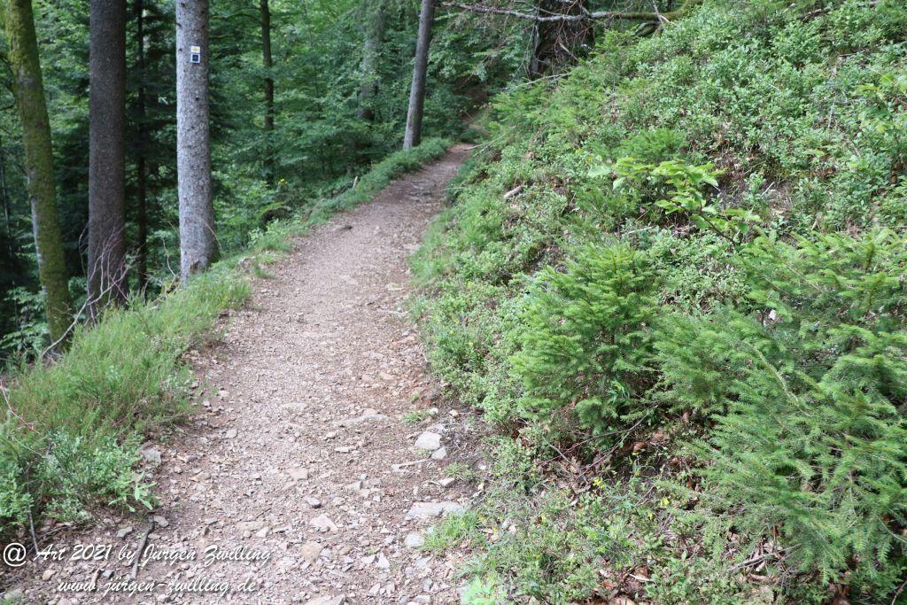 Philosophische Bildwanderung Klösterle Schleife - Burgbach Wasserfall - Bad Rippoldsau - Schwarzwald