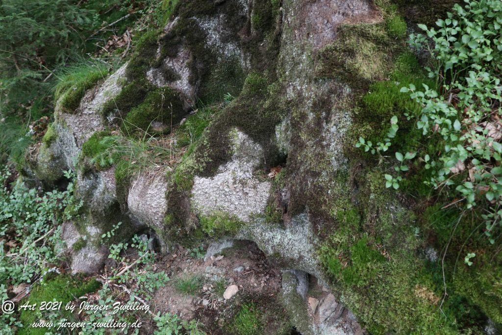 Philosophische Bildwanderung Klösterle Schleife - Burgbach Wasserfall - Bad Rippoldsau - Schwarzwald