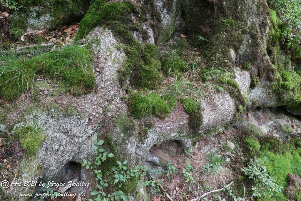 Philosophische Bildwanderung Klösterle Schleife - Burgbach Wasserfall - Bad Rippoldsau - Schwarzwald