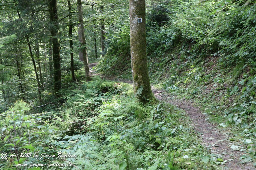 Philosophische Bildwanderung  Klösterle Schleife - Burgbach Wasserfall - Bad Rippoldsau - Schwarzwald