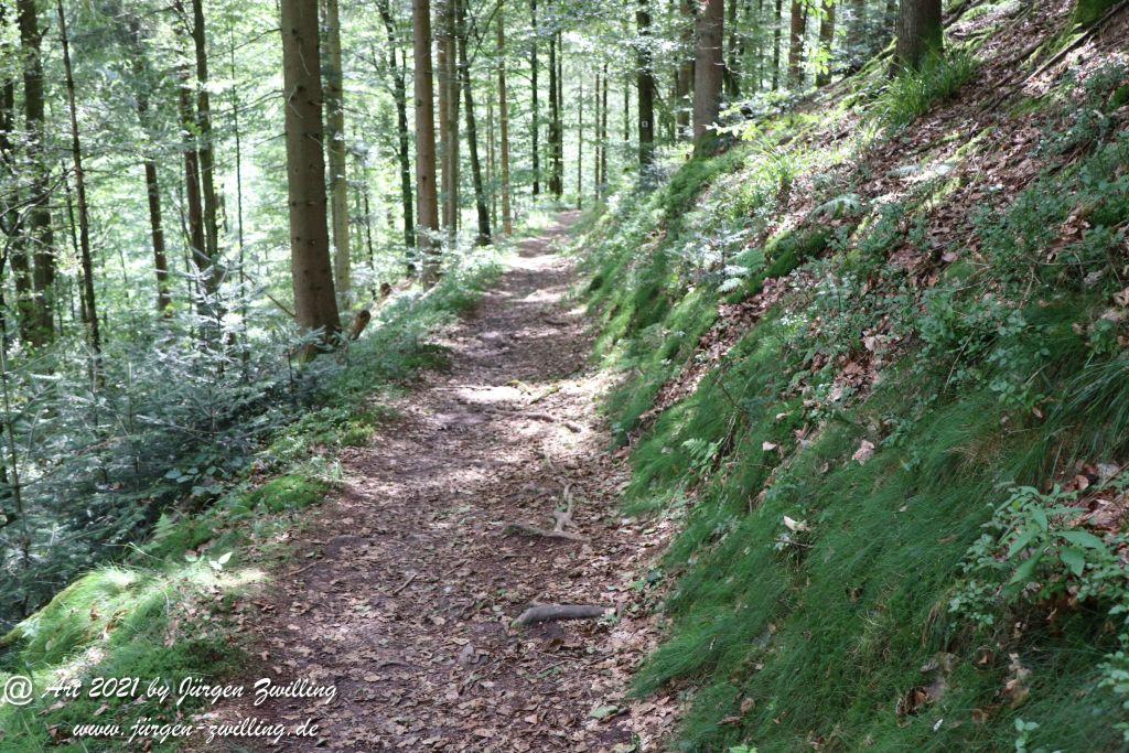 Philosophische Bildwanderung Klösterle Schleife - Burgbach Wasserfall - Bad Rippoldsau - Schwarzwald