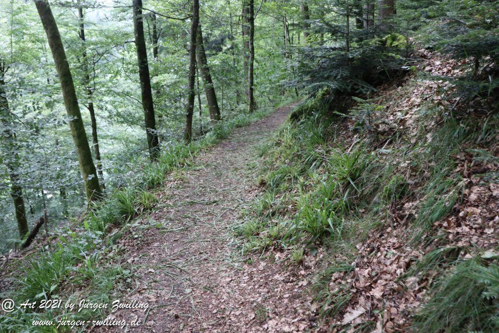 Philosophische Bildwanderung Klösterle Schleife - Burgbach Wasserfall - Bad Rippoldsau - Schwarzwald
