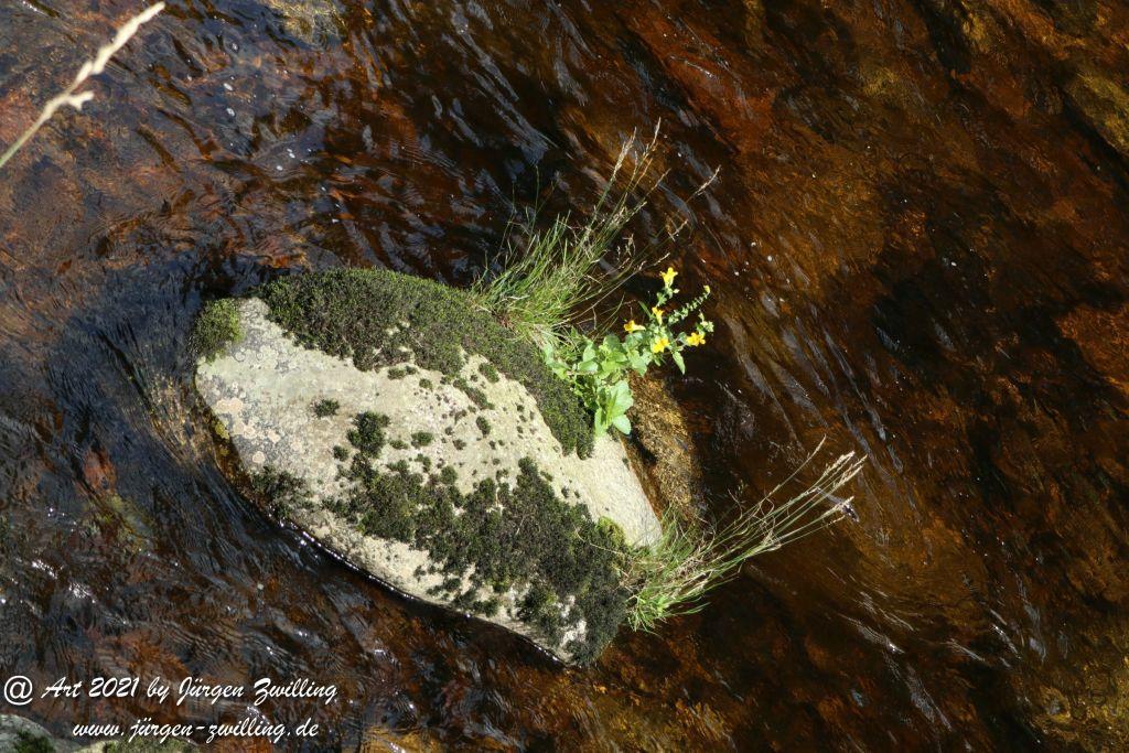 Philosophische Bildwanderung Klösterle Schleife - Burgbach Wasserfall - Bad Rippoldsau - Schwarzwald