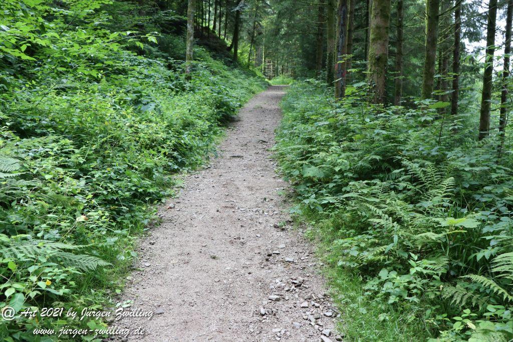 Philosophische Bildwanderung Klösterle Schleife - Burgbach Wasserfall - Bad Rippoldsau - Schwarzwald