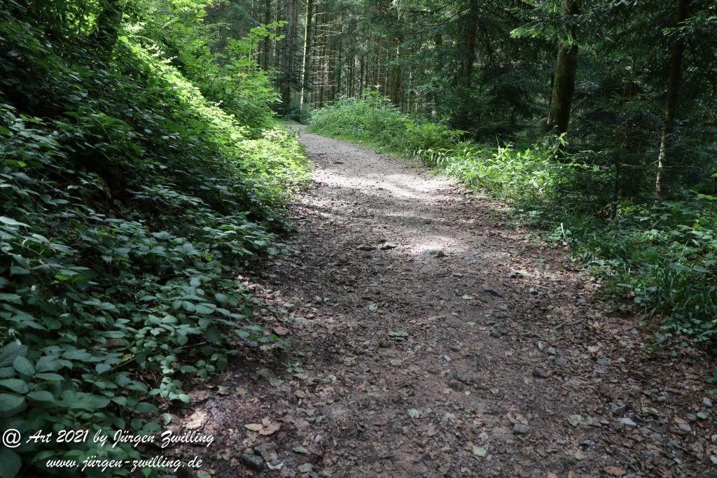 Philosophische Bildwanderung Klösterle Schleife - Burgbach Wasserfall - Bad Rippoldsau - Schwarzwald