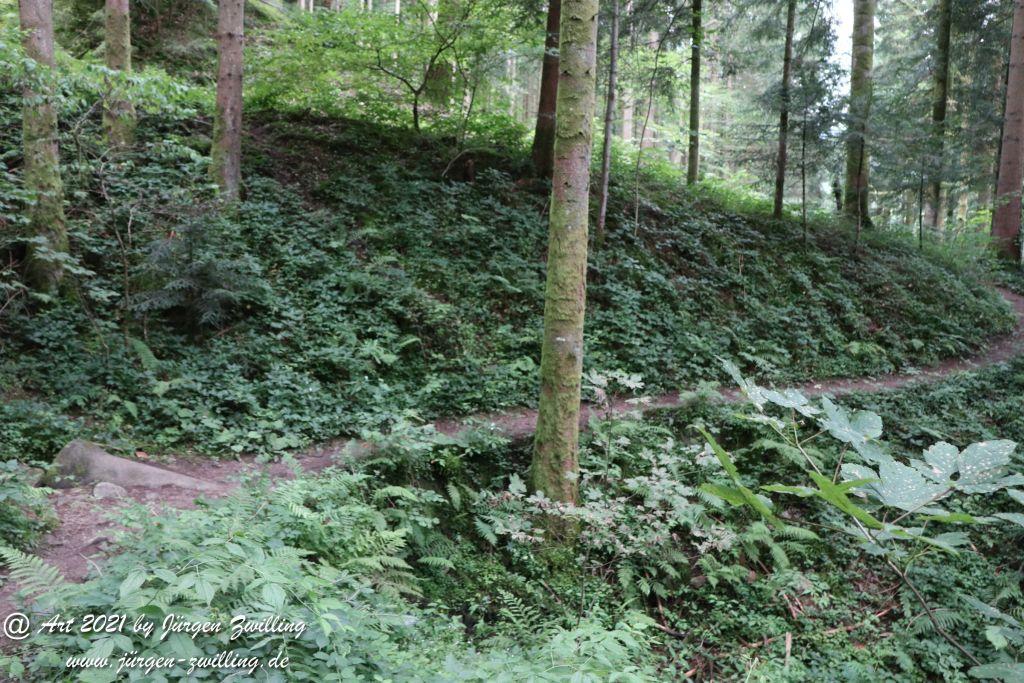 Philosophische Bildwanderung Klösterle Schleife - Burgbach Wasserfall - Bad Rippoldsau - Schwarzwald