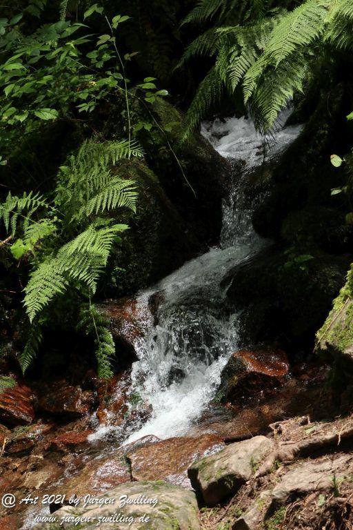 Philosophische Bildwanderung Klösterle Schleife - Burgbach Wasserfall - Bad Rippoldsau - Schwarzwald