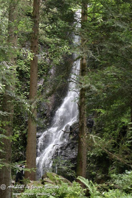 Philosophische Bildwanderung Klösterle Schleife - Burgbach Wasserfall - Bad Rippoldsau - Schwarzwald