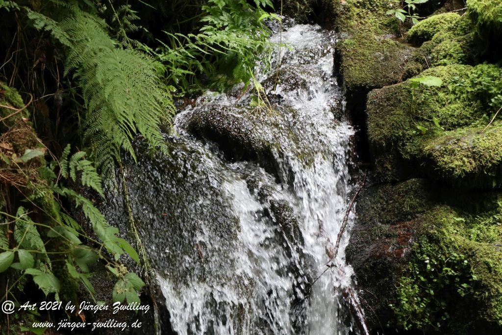 Philosophische Bildwanderung Klösterle Schleife - Burgbach Wasserfall - Bad Rippoldsau - Schwarzwald