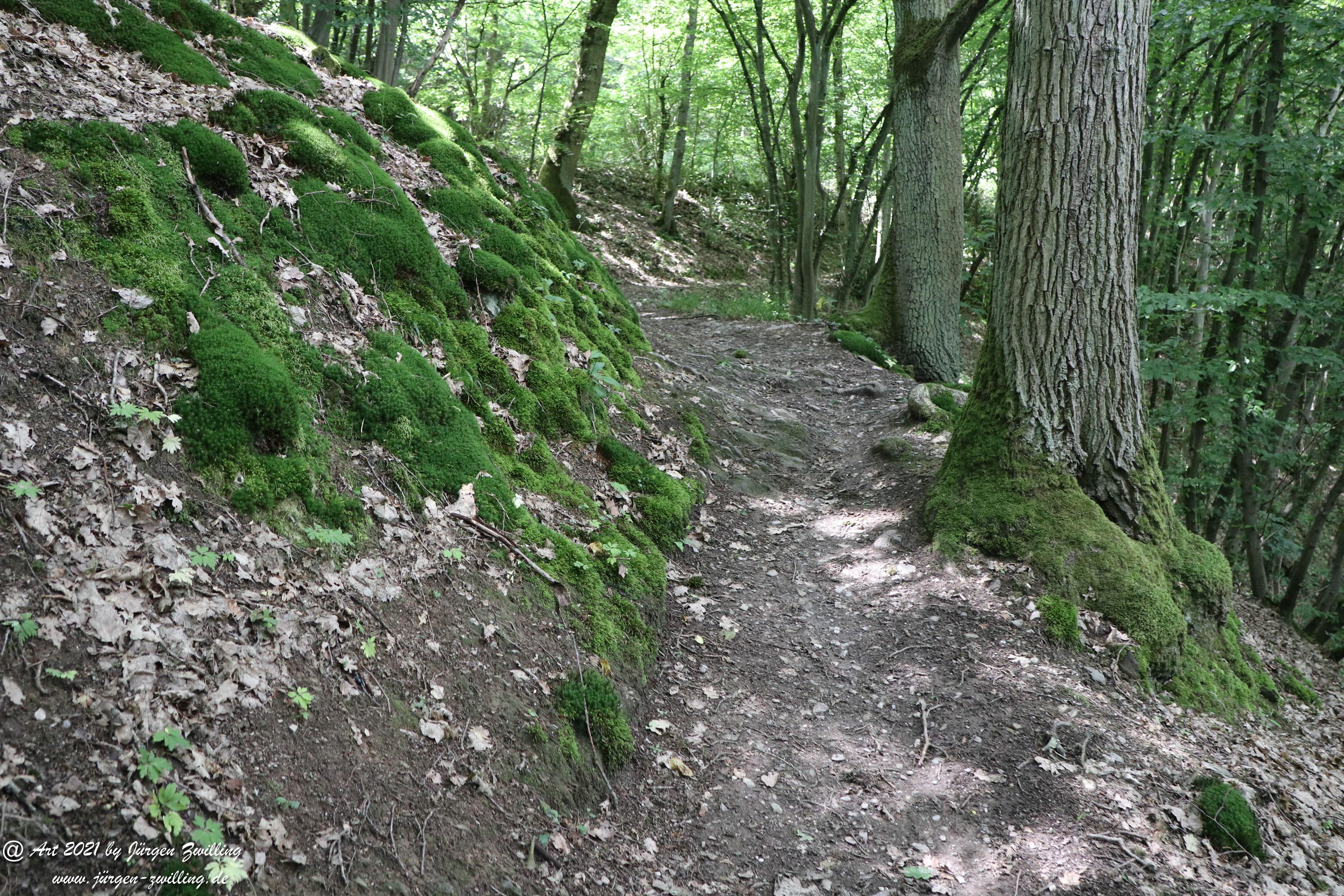 Waldweg 3 