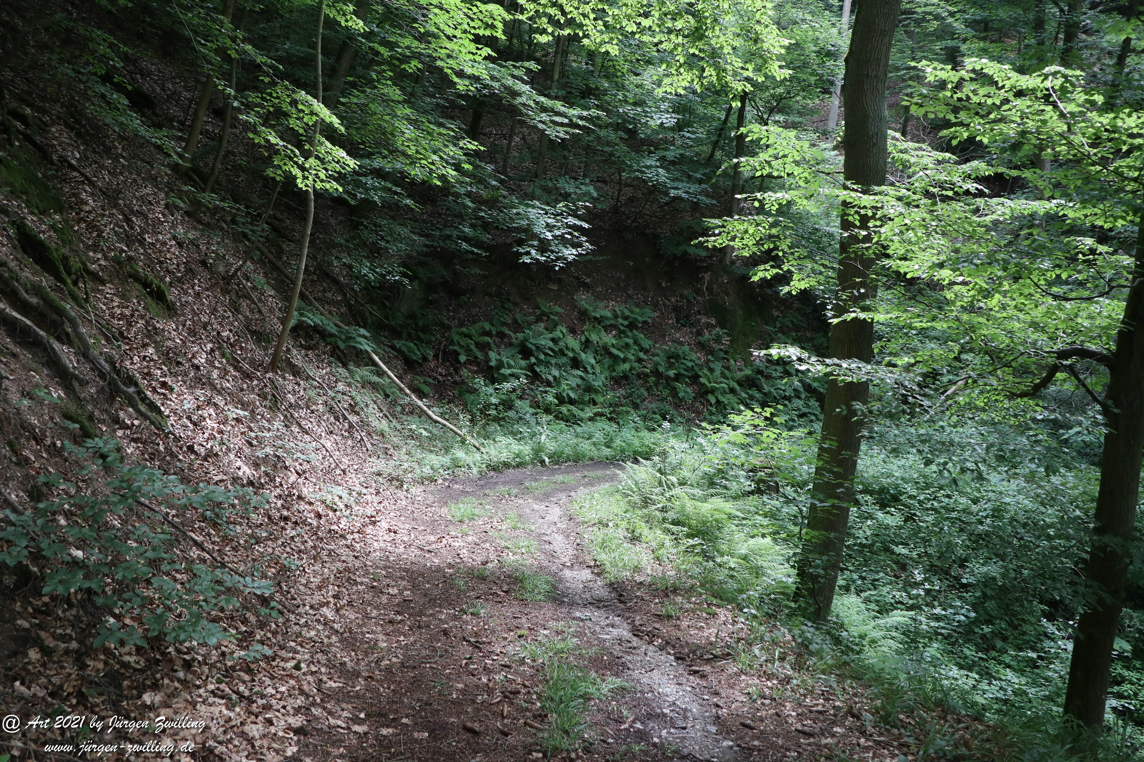 Waldweg 5