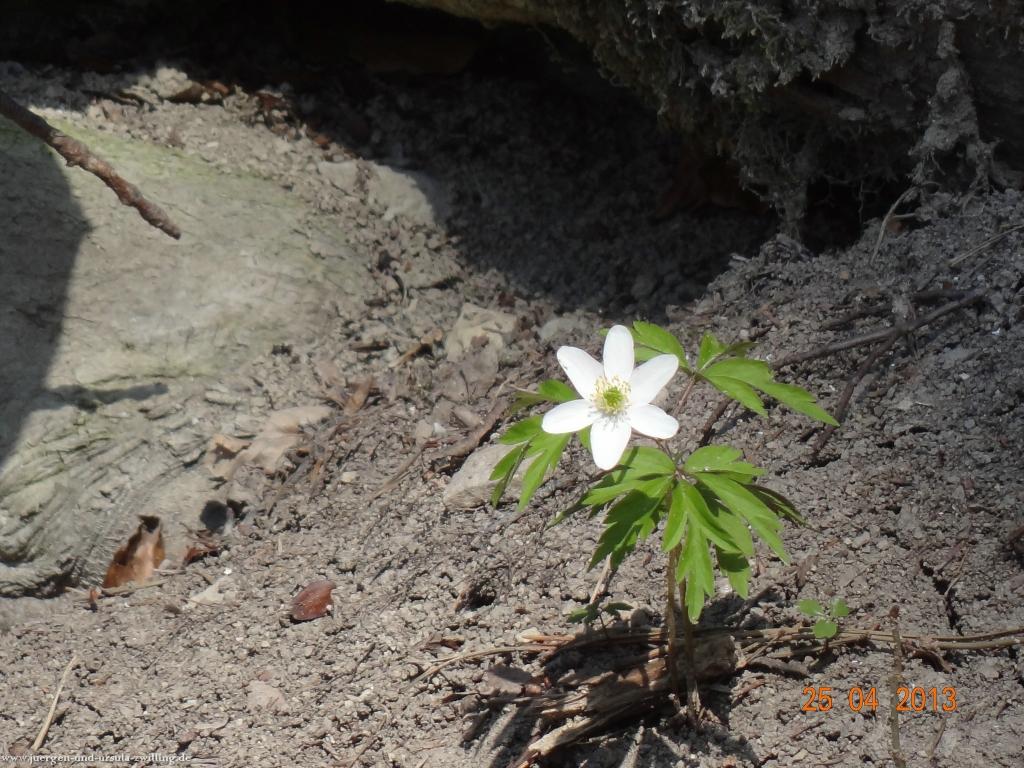 Philosophische Bildwanderung Traufgang-Felsenmeersteig