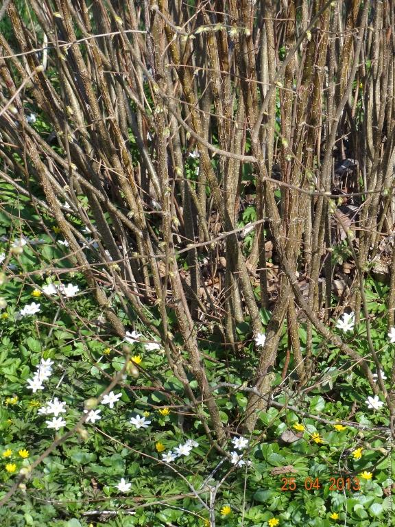 Philosophische Bildwanderung Traufgang-Felsenmeersteig