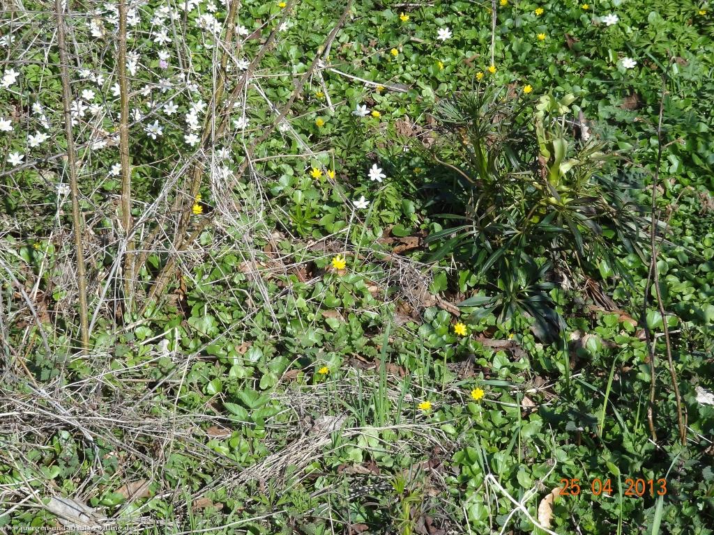 Philosophische Bildwanderung Traufgang-Felsenmeersteig
