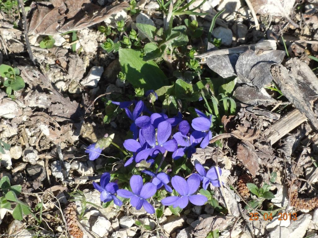Philosophische Bildwanderung Traufgang-Felsenmeersteig