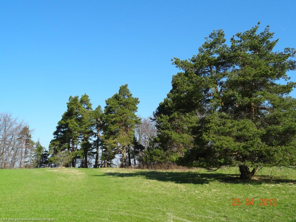 Philosophische Bildwanderung Traufgang-Felsenmeersteig