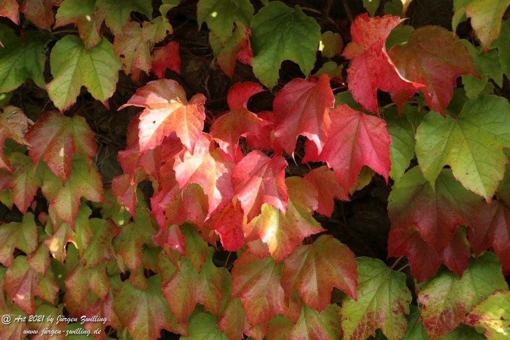 Philosophische Bildwanderung St. Oswald - Schleife - Rhein - Burgen - Weg - Manubach - Hunsrück