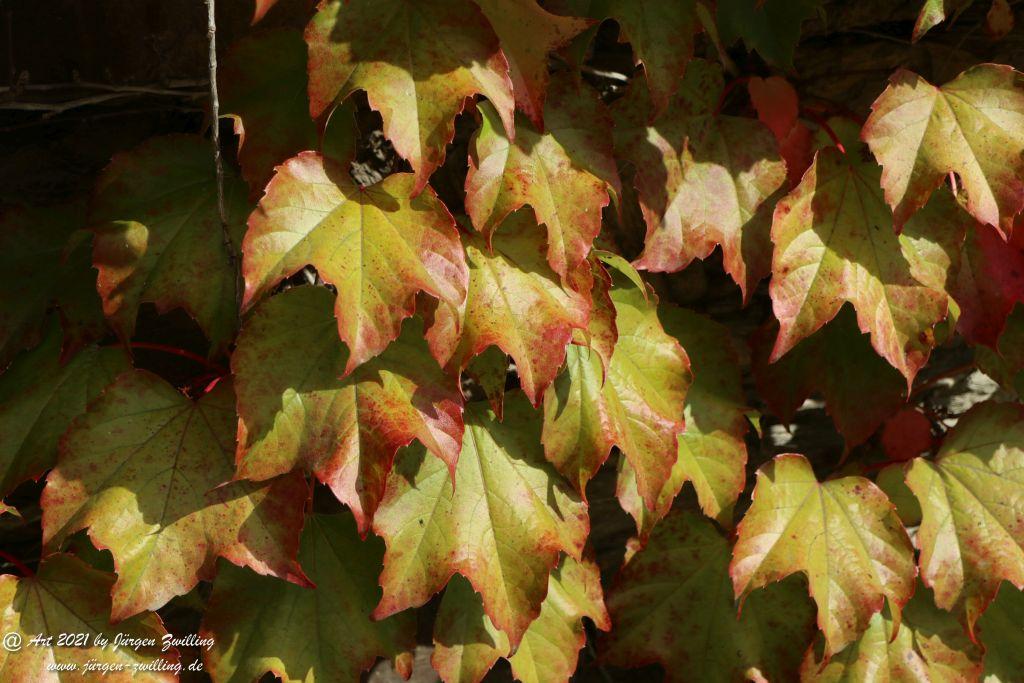 Philosophische Bildwanderung St. Oswald - Schleife - Rhein - Burgen - Weg - Manubach - Hunsrück