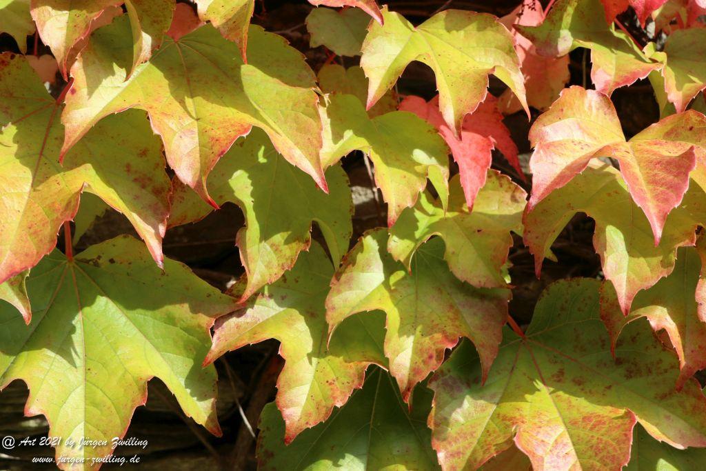 Philosophische Bildwanderung St. Oswald - Schleife - Rhein - Burgen - Weg - Manubach - Hunsrück