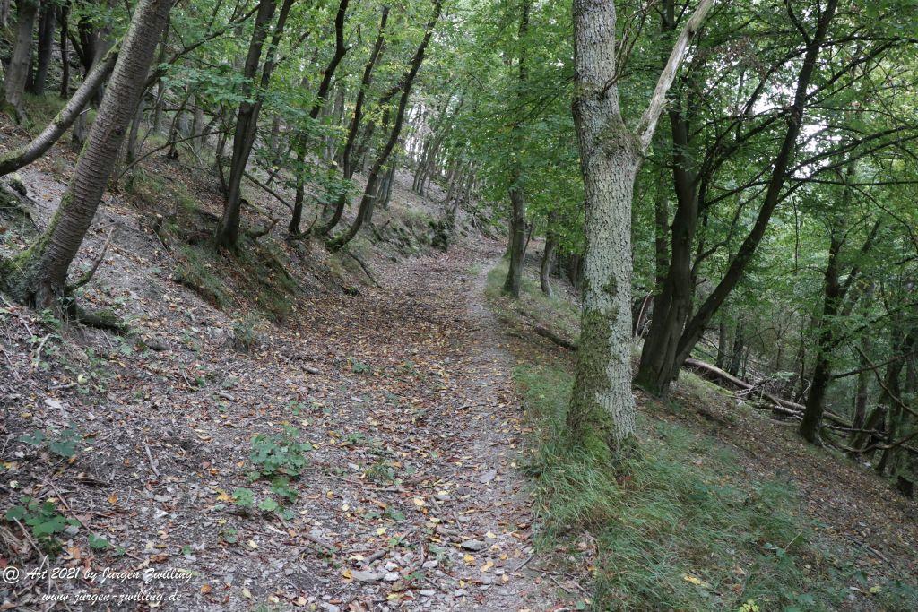 Philosophische Bildwanderung St. Oswald - Schleife - Rhein - Burgen - Weg - Manubach - Hunsrück