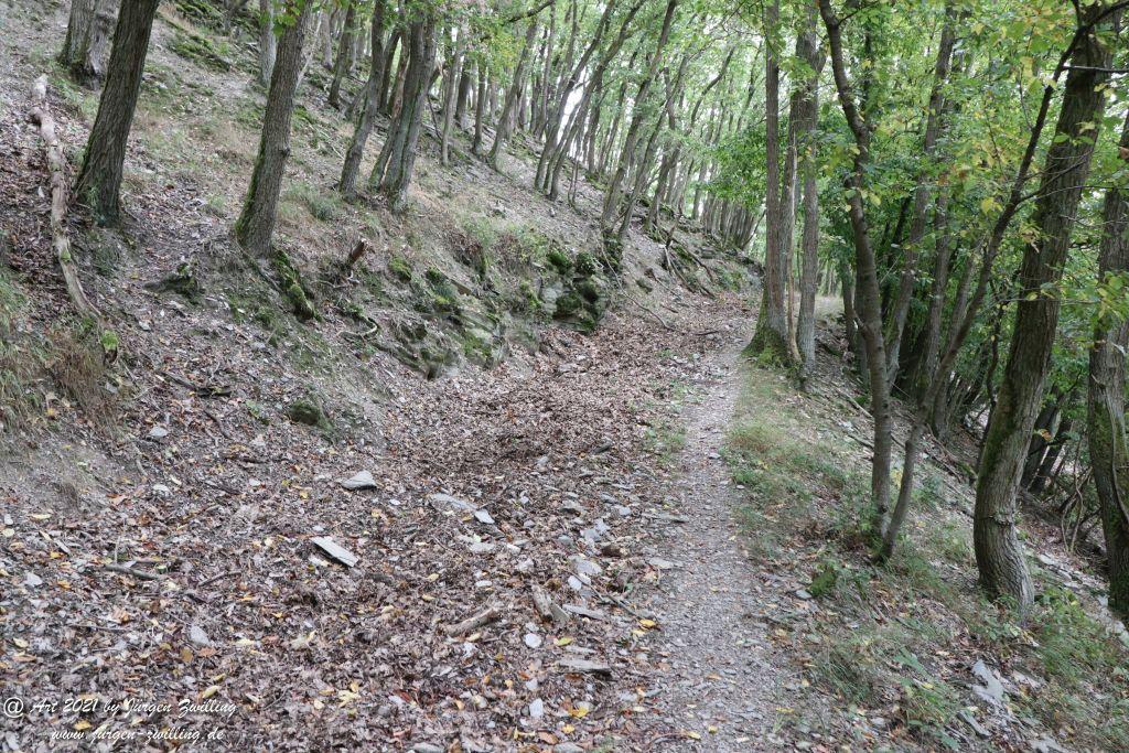 Philosophische Bildwanderung St. Oswald - Schleife - Rhein - Burgen - Weg - Manubach - Hunsrück