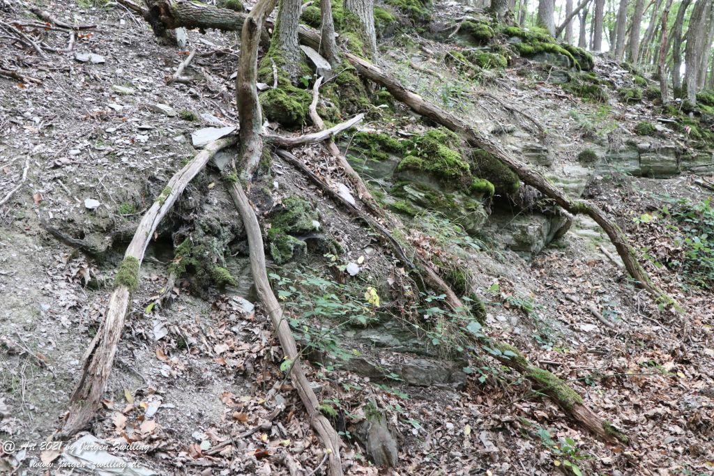 Philosophische Bildwanderung St. Oswald - Schleife - Rhein - Burgen - Weg - Manubach - Hunsrück