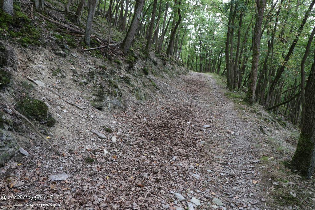 Philosophische Bildwanderung St. Oswald - Schleife - Rhein - Burgen - Weg - Manubach - Hunsrück