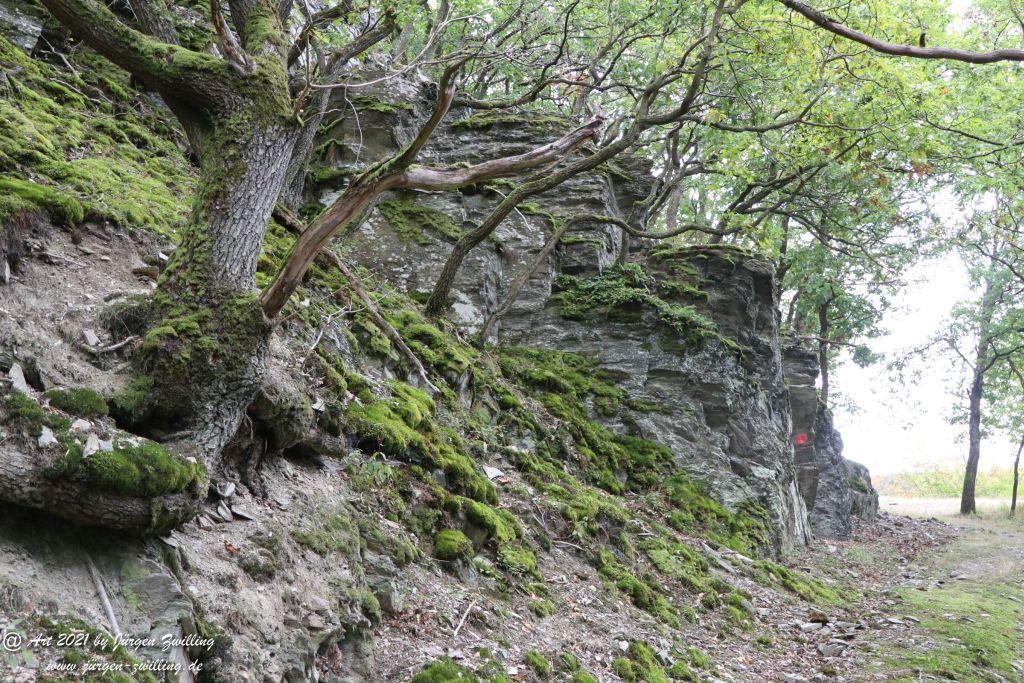 Philosophische Bildwanderung St. Oswald - Schleife - Rhein - Burgen - Weg - Manubach - Hunsrück