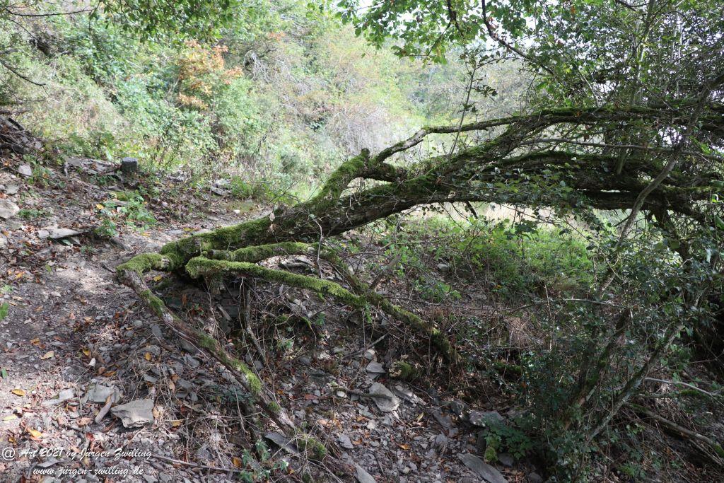 Philosophische Bildwanderung  St. Oswald - Schleife - Rhein - Burgen - Weg - Manubach - Hunsrück