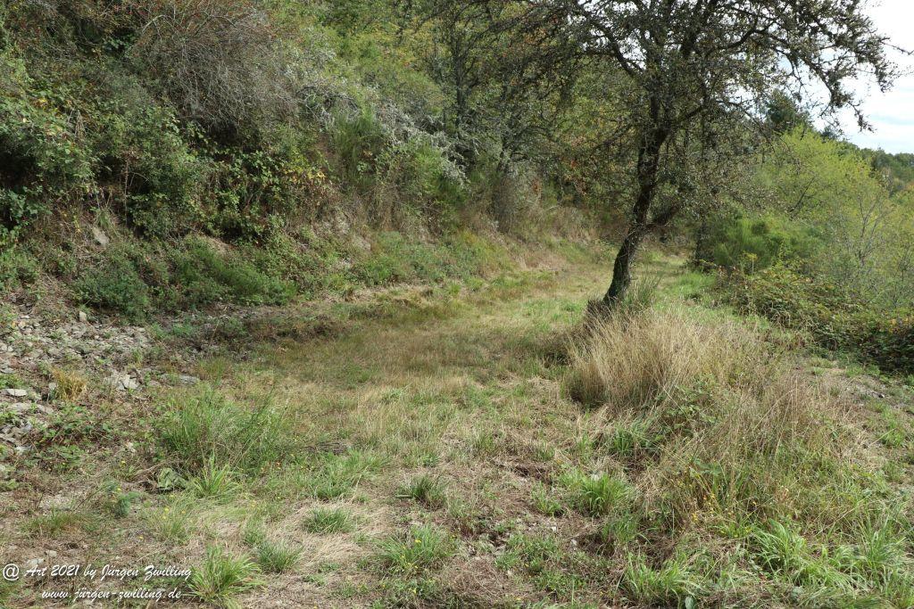 Philosophische Bildwanderung St. Oswald - Schleife - Rhein - Burgen - Weg - Manubach - Hunsrück