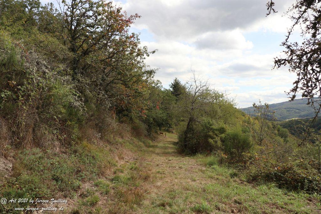 Philosophische Bildwanderung St. Oswald - Schleife - Rhein - Burgen - Weg - Manubach - Hunsrück