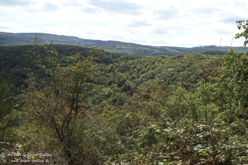 Philosophische Bildwanderung St. Oswald - Schleife - Rhein - Burgen - Weg - Manubach - Hunsrück