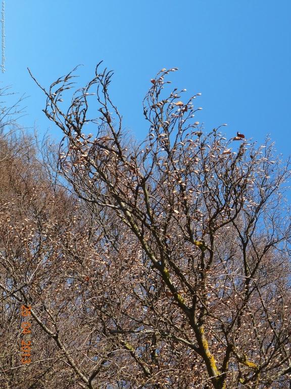 Philosophische Bildwanderung Traufgang-Felsenmeersteig