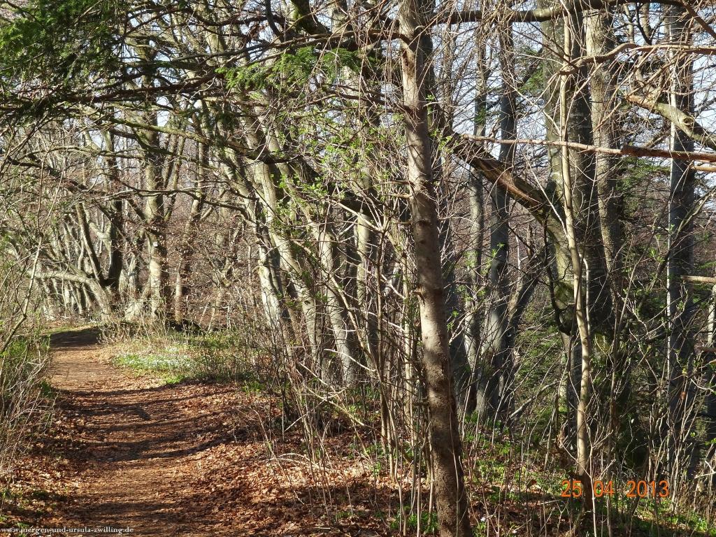 Philosophische Bildwanderung Traufgang-Felsenmeersteig